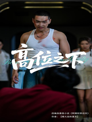 高位之下（65集）短剧排行榜