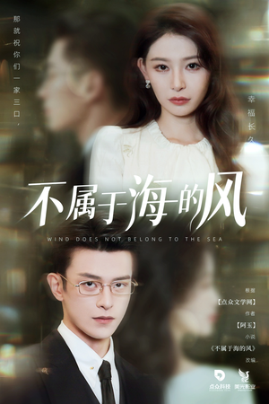 不属于海的风(40集) 不属于海的风(40集)热门了短剧