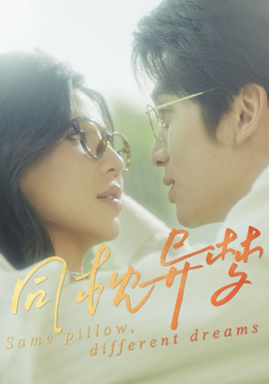 同枕异梦(50集) 同枕异梦(50集)在哪里看