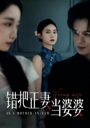 错把正妻当婆婆（46集）最新上映的短剧