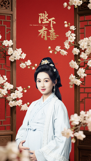 陛下有喜（59集）免费短剧大全