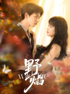 野焰(60集) 野焰(60集)番茄免费短剧