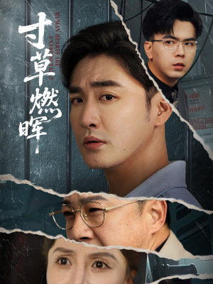 寸草燃晖(70集) 寸草燃晖(70集)精彩片段