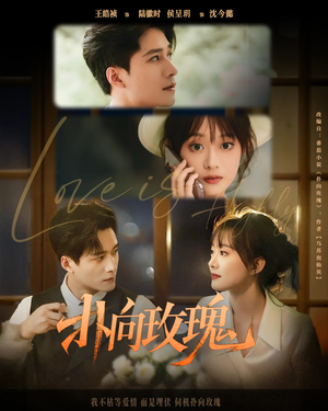 扑向玫瑰(77集) 扑向玫瑰(77集)好看上头短剧