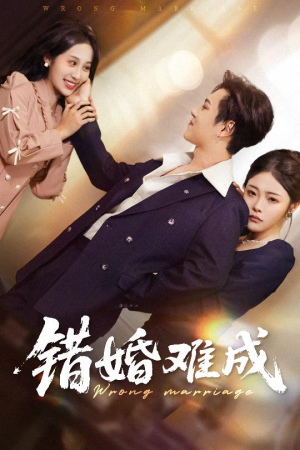 错婚难成（45集）解说