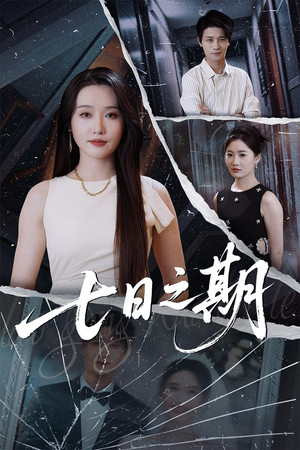 七日之期（90集）短剧解说全集