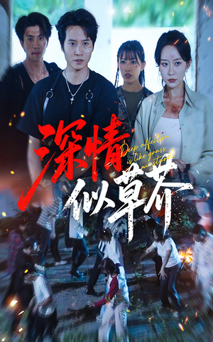 深情似草芥(51集) 深情似草芥(51集)真的太精彩了