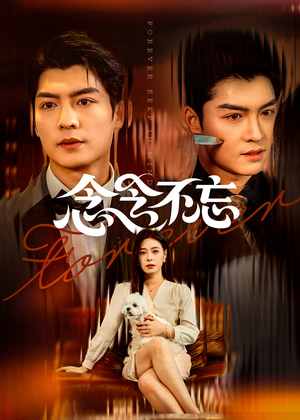 念念不忘（73集）短剧有好货推荐