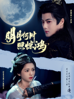 明月何时照惊鸿（80集）短剧介绍