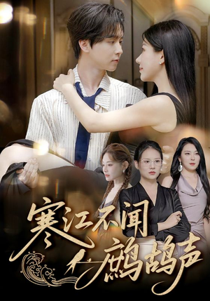 寒江不闻鹧鸪声（55集）短剧全集大结局