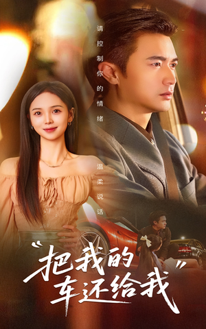 把我的车还给我（32集）在哪里看