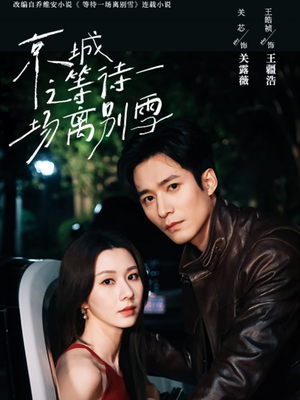 京城之等待一场离别雪（42集）好看短剧分享