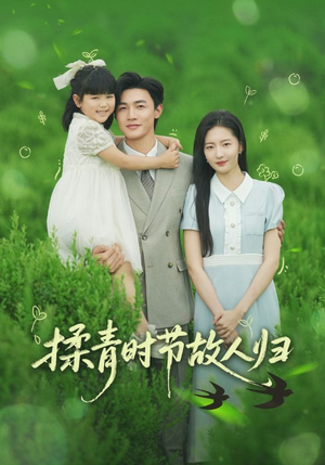 揉青时节故人归(60集) 揉青时节故人归(60集)最热短剧推荐