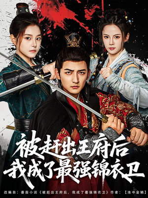 被赶出王府后我成了最强锦衣卫(80集) 被赶出王府后我成了最强锦衣卫(80集)高清无码免费看