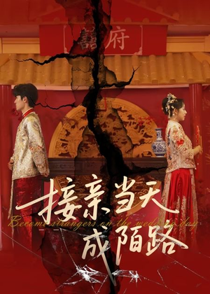接亲当天成陌路(50集) 接亲当天成陌路(50集)简直不要太好看