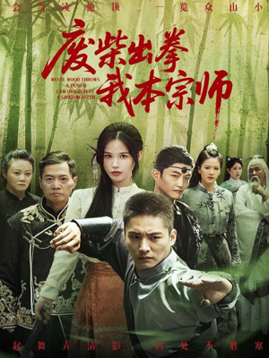 废柴出拳我本宗师(61集) 废柴出拳我本宗师(61集)古代短剧推荐