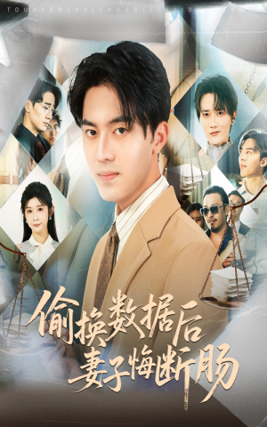 偷换数据后妻子悔断肠（63集）免费看