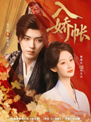入娇账（80集）零花钱看整部剧