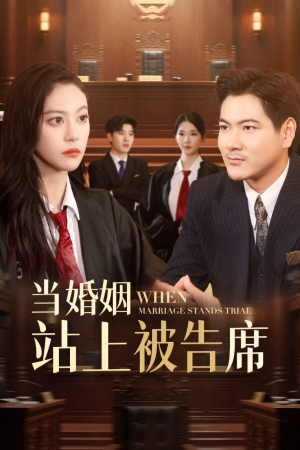当婚姻站上被告席(30集) 当婚姻站上被告席(30集)短剧热门合集