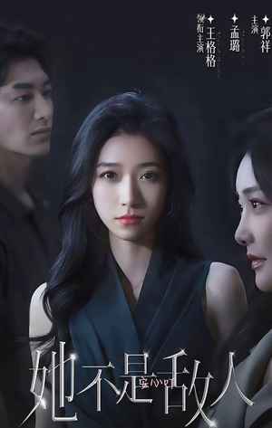 她不是敌人（15集全）1-102集