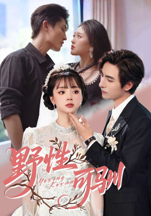 野性可驯(63集) 野性可驯(63集)热播短剧免费看