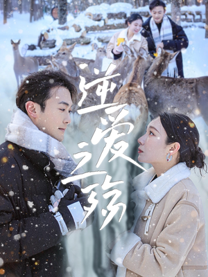 逆爱之殇（60集）让你一口气看完