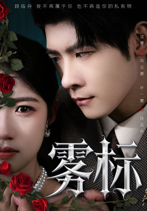 雾标（70集）古装热门短剧