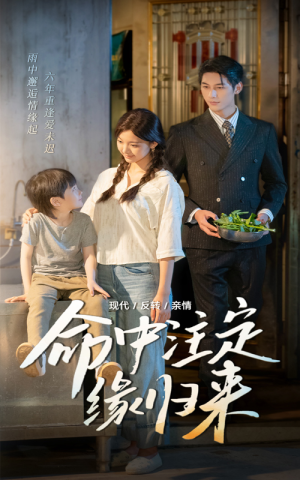 命中注定缘归来(63集) 命中注定缘归来(63集)在线播放