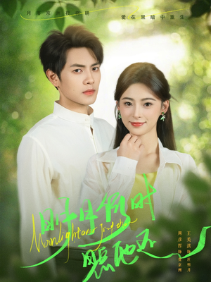 明月何时照他还(73集) 明月何时照他还(73集)80到100集