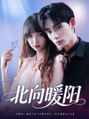 北向暖阳（80集）战神短剧推荐