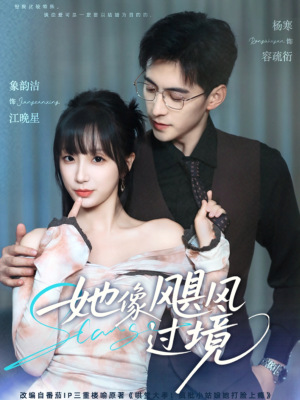 她像飓风过境(81集) 她像飓风过境(81集)哪个网站可以看