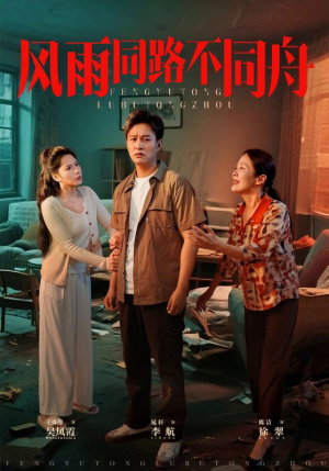 风雨同居不同舟（32集）视频在线看