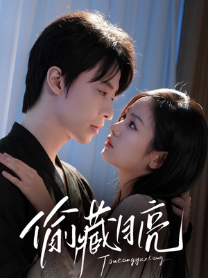 偷藏月亮（64集）全集下载