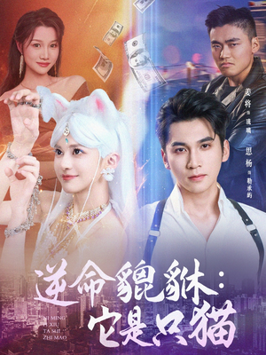 逆命貔貅它是只猫（35集）简直不要太好看
