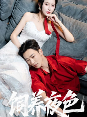 饲养夜色(86集) 饲养夜色(86集)原创精彩短剧