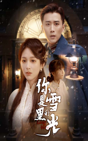 你是雪里的光（64集）精彩短剧合集