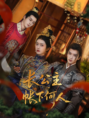 长公主帐下何人（81集）番茄短剧看全集