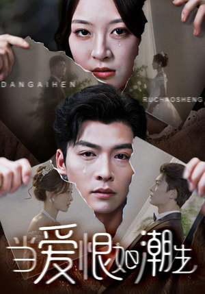 当爱恨如潮生（71集）在线观看完整版