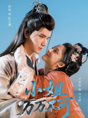 小姐万万不可（74集）短剧追不停