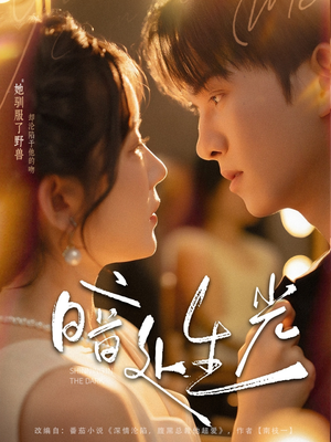 暗处生光(82集) 暗处生光(82集)在哪里可以全集