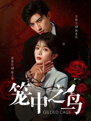 笼中之鸟（70集）短剧有好货推荐