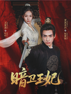 暗卫王妃（60集）精彩短剧看全集