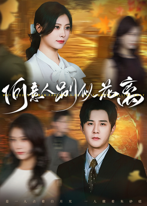 何意人别似花离（61集）短剧演员排行榜