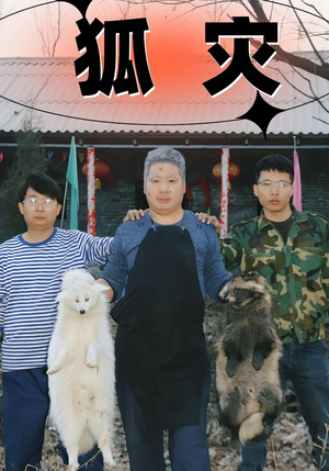 狐灾(25集) 狐灾(25集)短剧爆款推荐