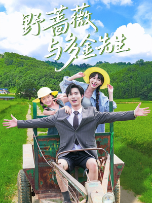 野蔷薇与多金先生（63集）每日短剧分享