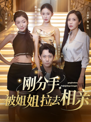 分手被姐姐拉去相亲(73集) 分手被姐姐拉去相亲(73集)经典老剧免费看