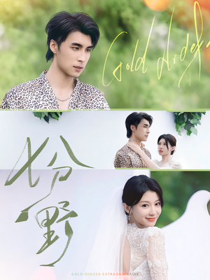 七分野(78集) 七分野(78集)好看短剧抢先看