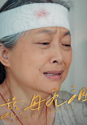 慈母无泪(30集) 慈母无泪(30集)每日短剧推荐