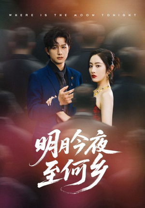 明月今夜至何乡（70集）精彩短剧下载