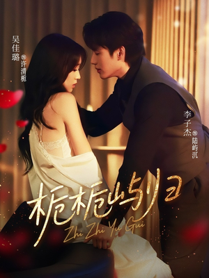 栀栀屿归（80集）热门短剧来袭